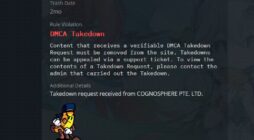 GenshinImpact Thickness Mona Mod Removed Statement 2022